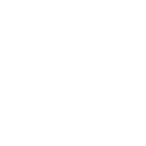 Skylinkers officical logo